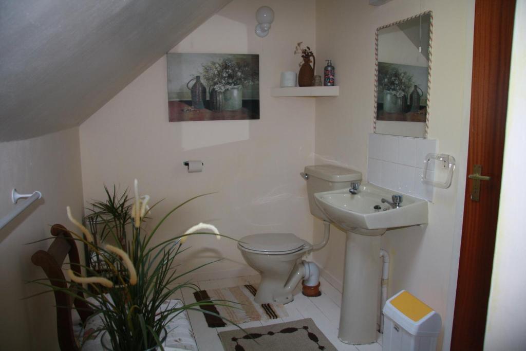The Old School House B&B バリンズケリグス 部屋 写真